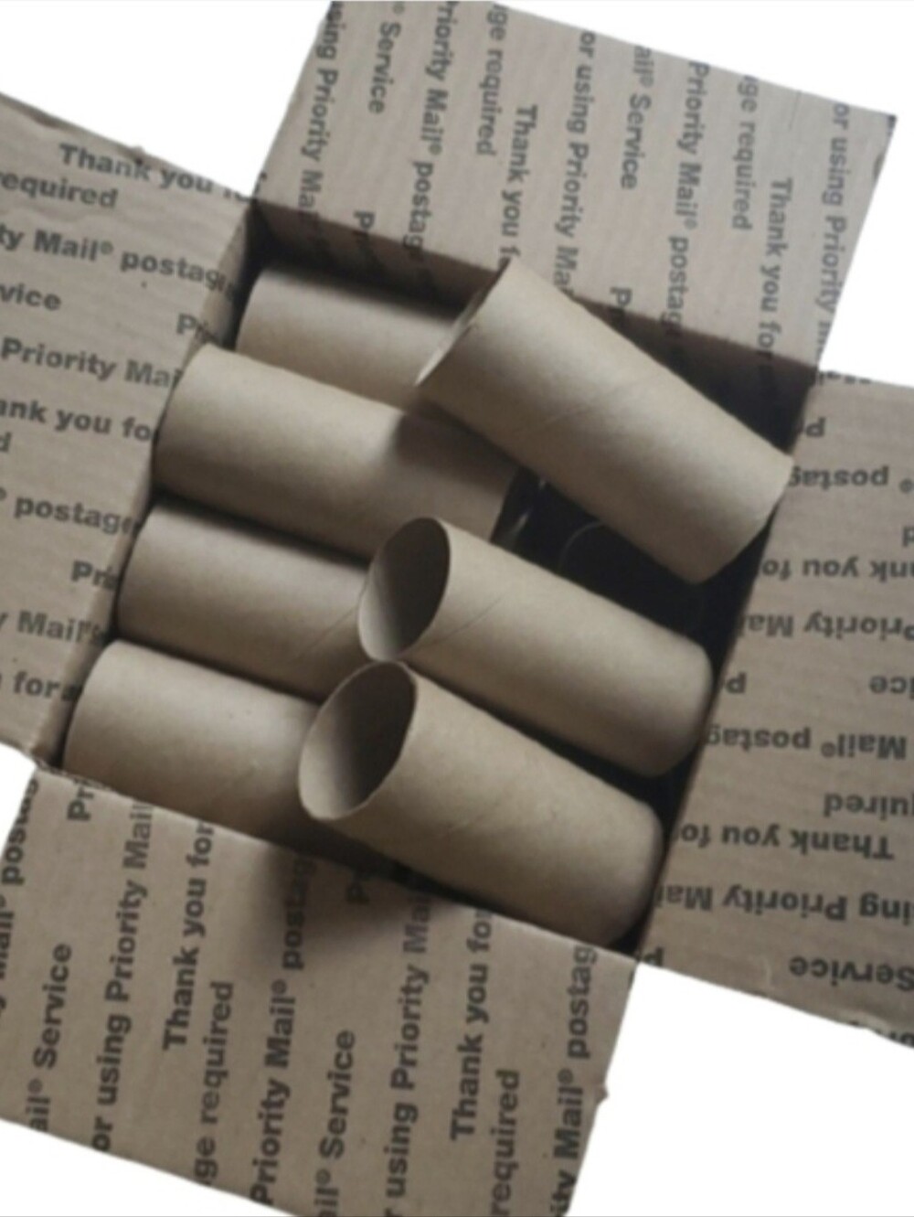 Empty Toilet Paper Rolls For Crafts-18 Count
